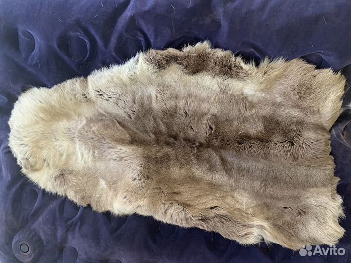 Шкура оленя