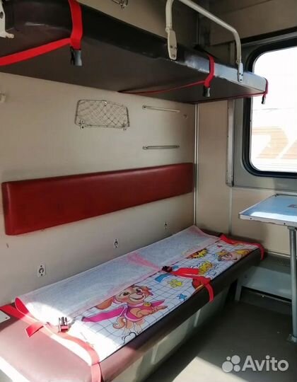 Жд манеж в поезд