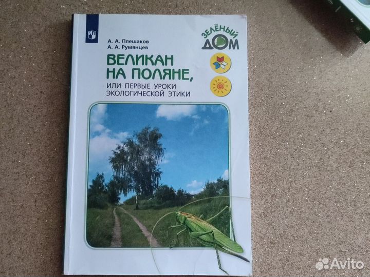 Школьные книги