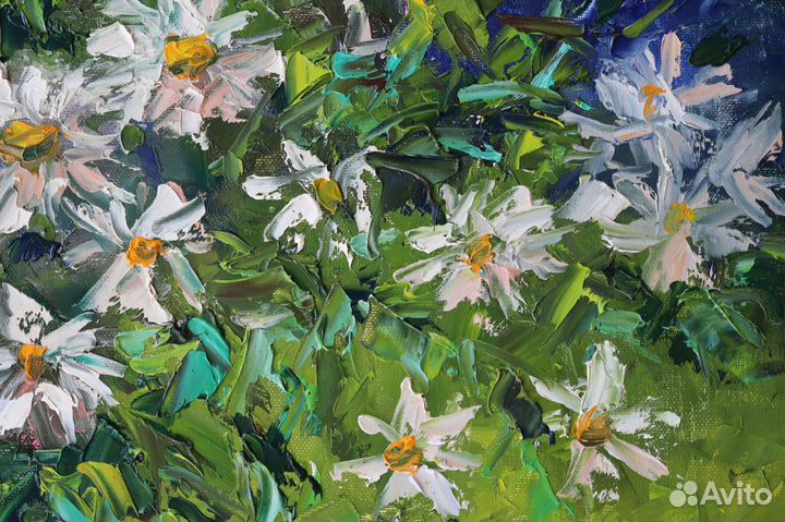 Картина Маслом Ромашки Цветы