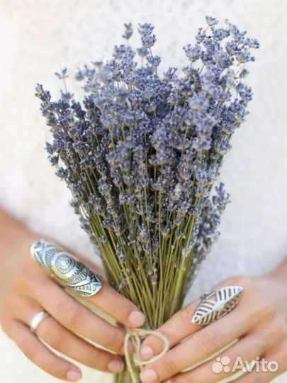 Лаванда букеты