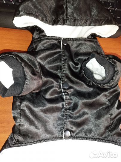 Одежда для собак