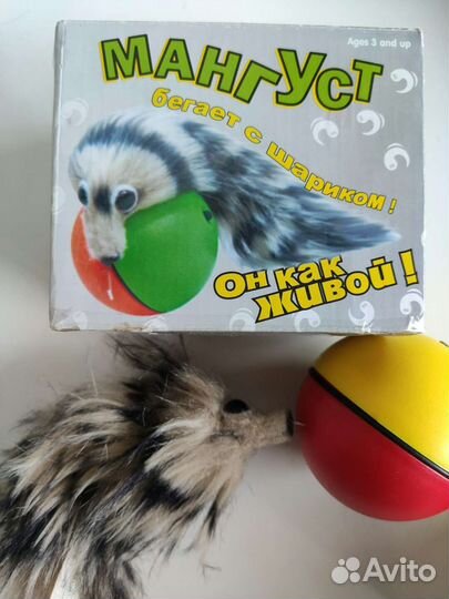 Вертихвост Мангуст бегает за шариком