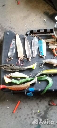 Для летней рыбалки