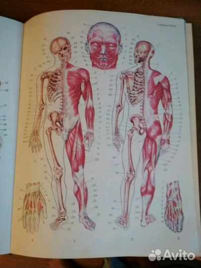 Медицинская энциклопедия