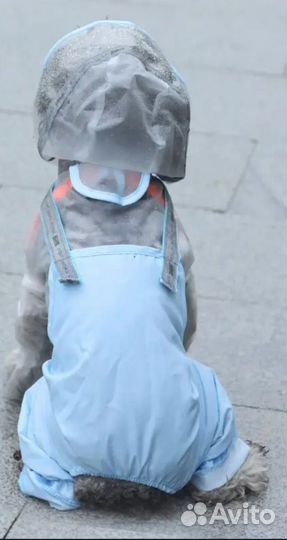 Одежда для маленьких собак