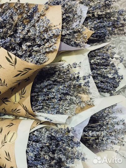 Букет сухоцветов лаванды дикой