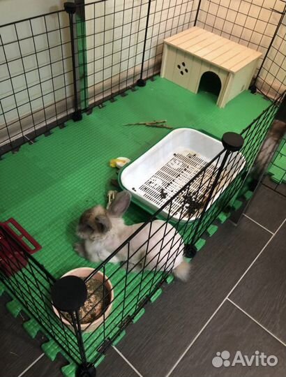 Вольер клетка
