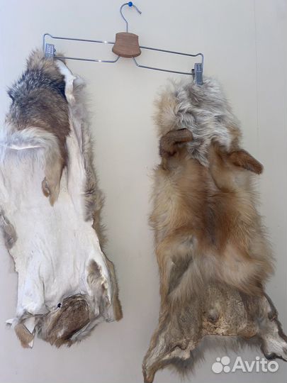 Шкура (мех) лисы рыжая (без хвоста)