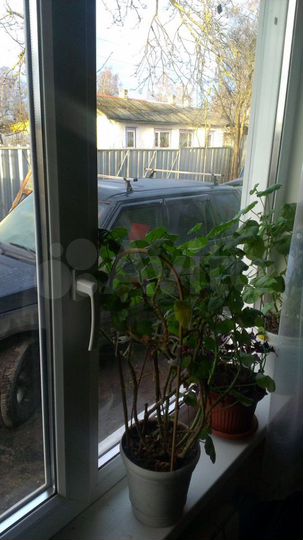 2-к. квартира, 61,4 м², 1/2 эт.