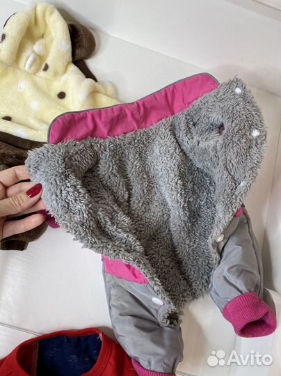 Одежда для собак мелких пород пакетом