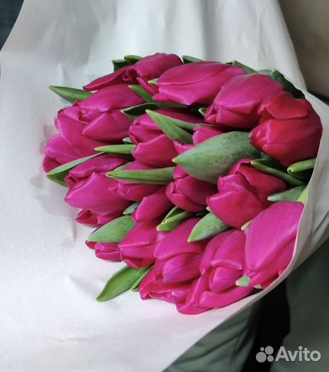 Тюльпаны оптом, мелким оптом