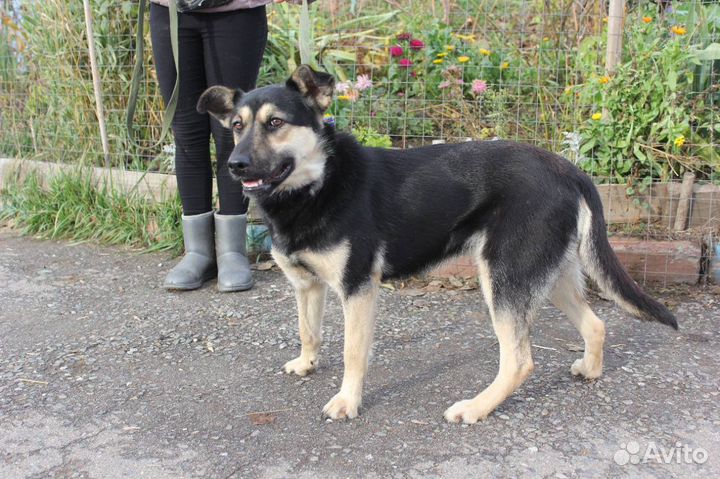 Чудесная Рут ищет семью