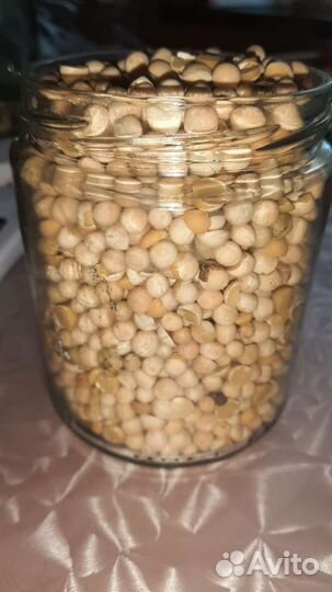 Горох. Горох молотый в муку