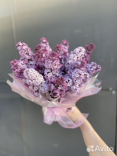 Сирень пионы цветы