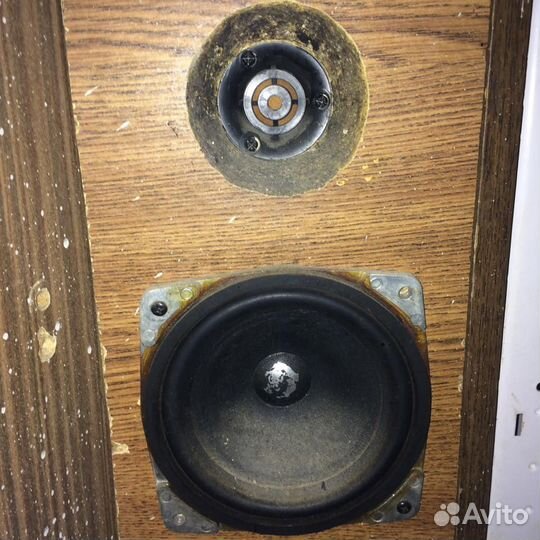 Динамики 35гдн 1-8 и 25гдн