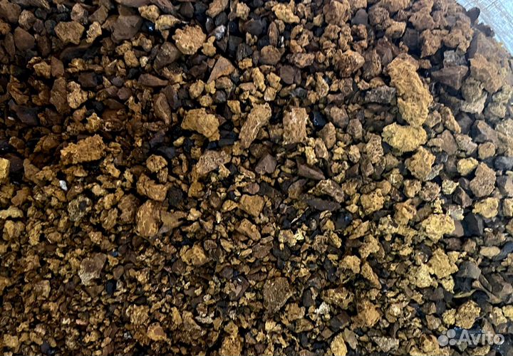 Чага кусковая и молотая