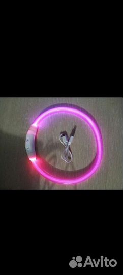 Светящийся ошейник для собак