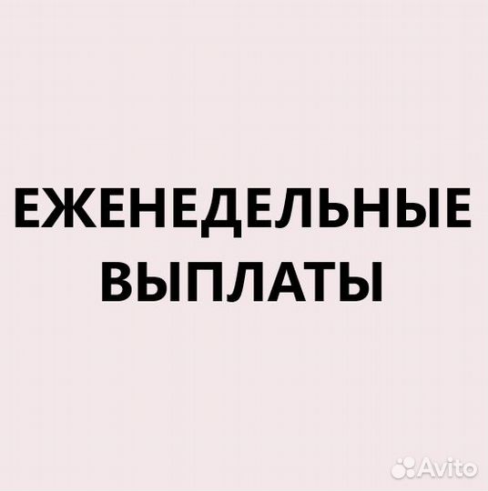 Выкладка товара Еженедельные выплаты