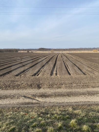 Участок 50 сот. (СНТ, ДНП)