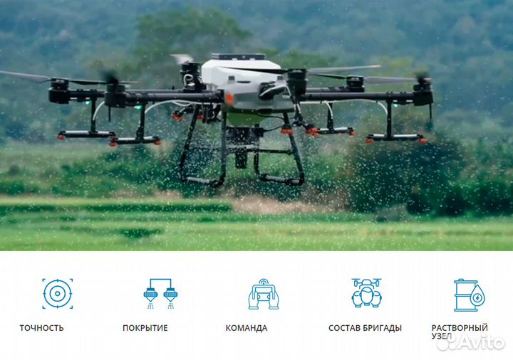 Обработка полей дронами, внесение сзр, десикация