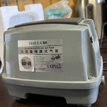 Hailea hap 60