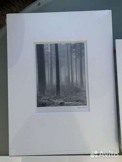 Икеа bild интерьерные картины