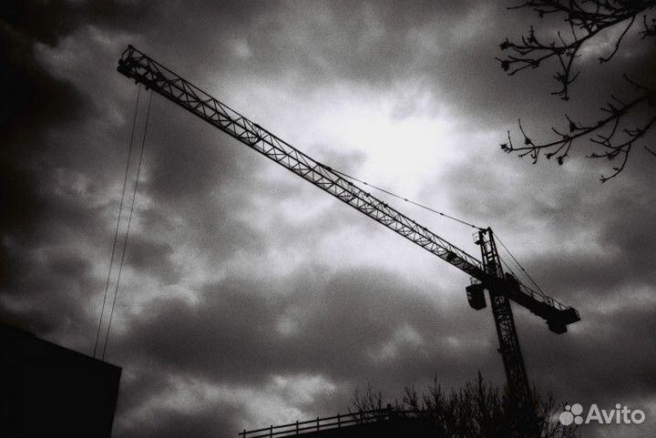 Фотопленка Lomography Earl Grey 100/36 3-pack