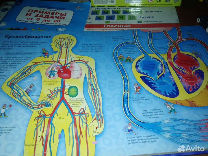 Книга с окошками Робинс