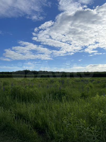 Участок 13,5 сот. (ИЖС)