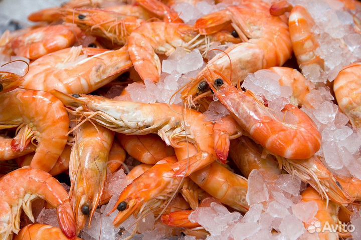 Готовый бизнес: рыбный магазин с клиентами