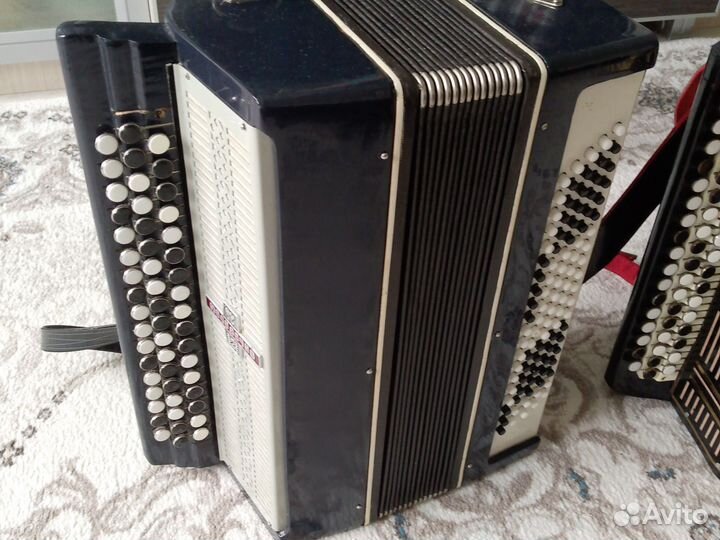 Баян Молодечно