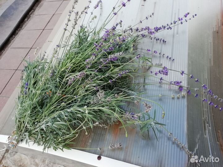 Лаванда. Букет - Ароматизатор