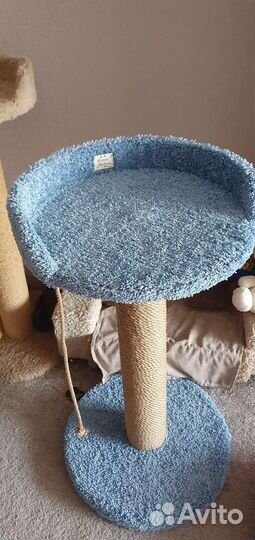 Когтеточка для кошек новая