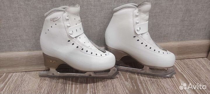 Фигурные коньки edea chorus 230