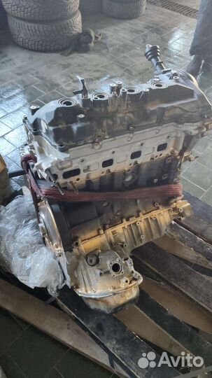 Двигатель 1vd ftv toyota land cruiser 200