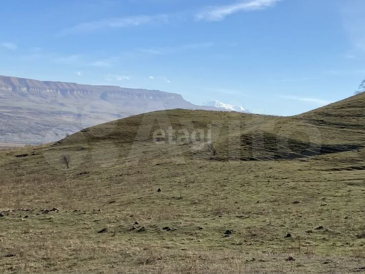 Участок 22 га (СНТ, ДНП)