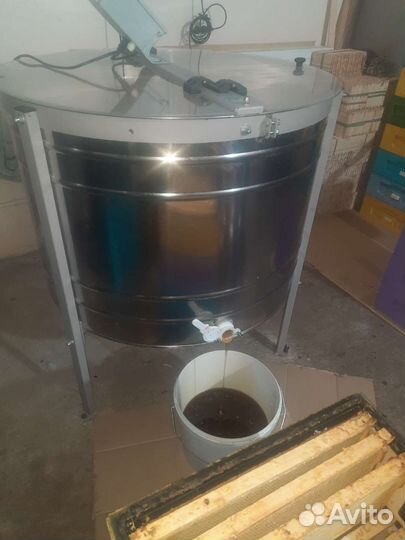 Мед с черноклена