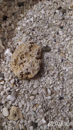 Грунт для аквариума