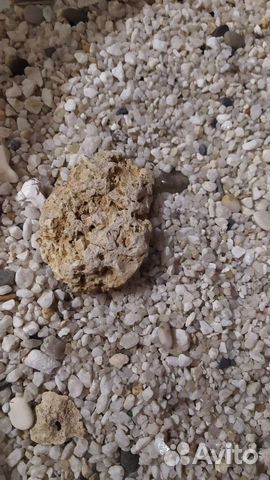 Грунт для аквариума