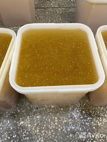 Донниковый свежий мед