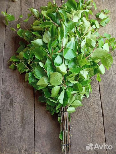 Веники для бани (сезон 2023)