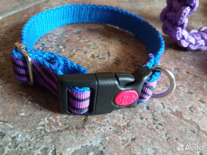 Ошейники для собак и кошек