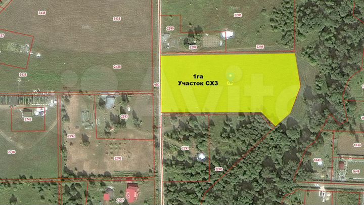 Участок 100 сот. (СНТ, ДНП)