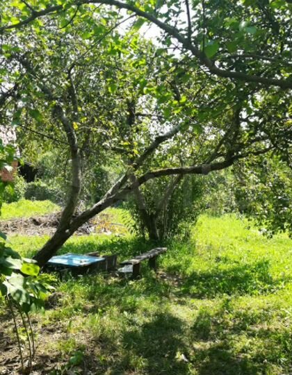 Дом 20 м² на участке 12 сот.