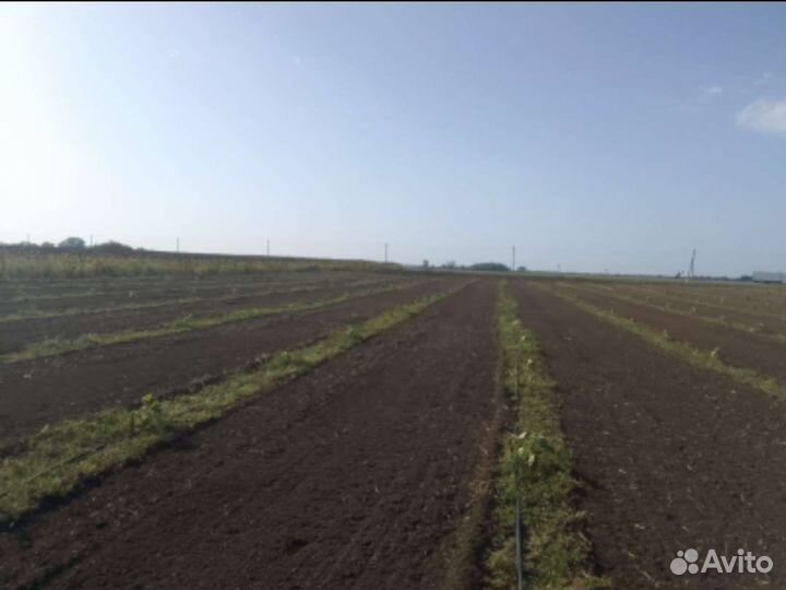 Услуги тракторами