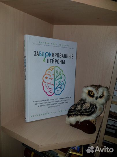 Сьюзан Томпсон: Заблокированные нейроны. Инновацио