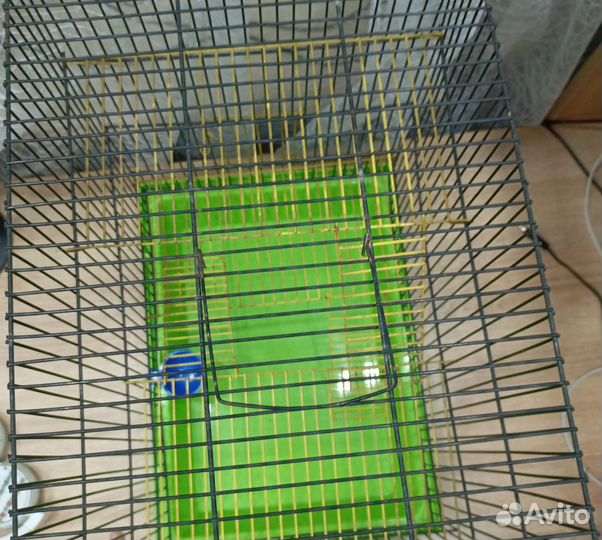 Клетка для крыс