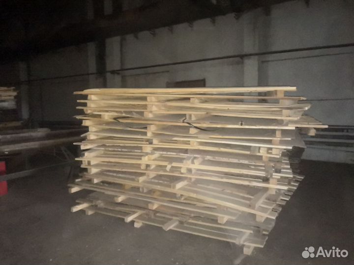 Европотдоны