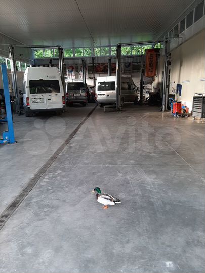 Земельный участок 0.55 га